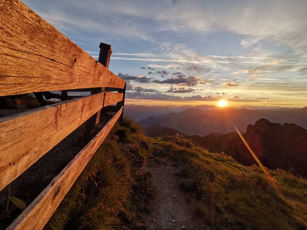 IMG_20230728_055211_original