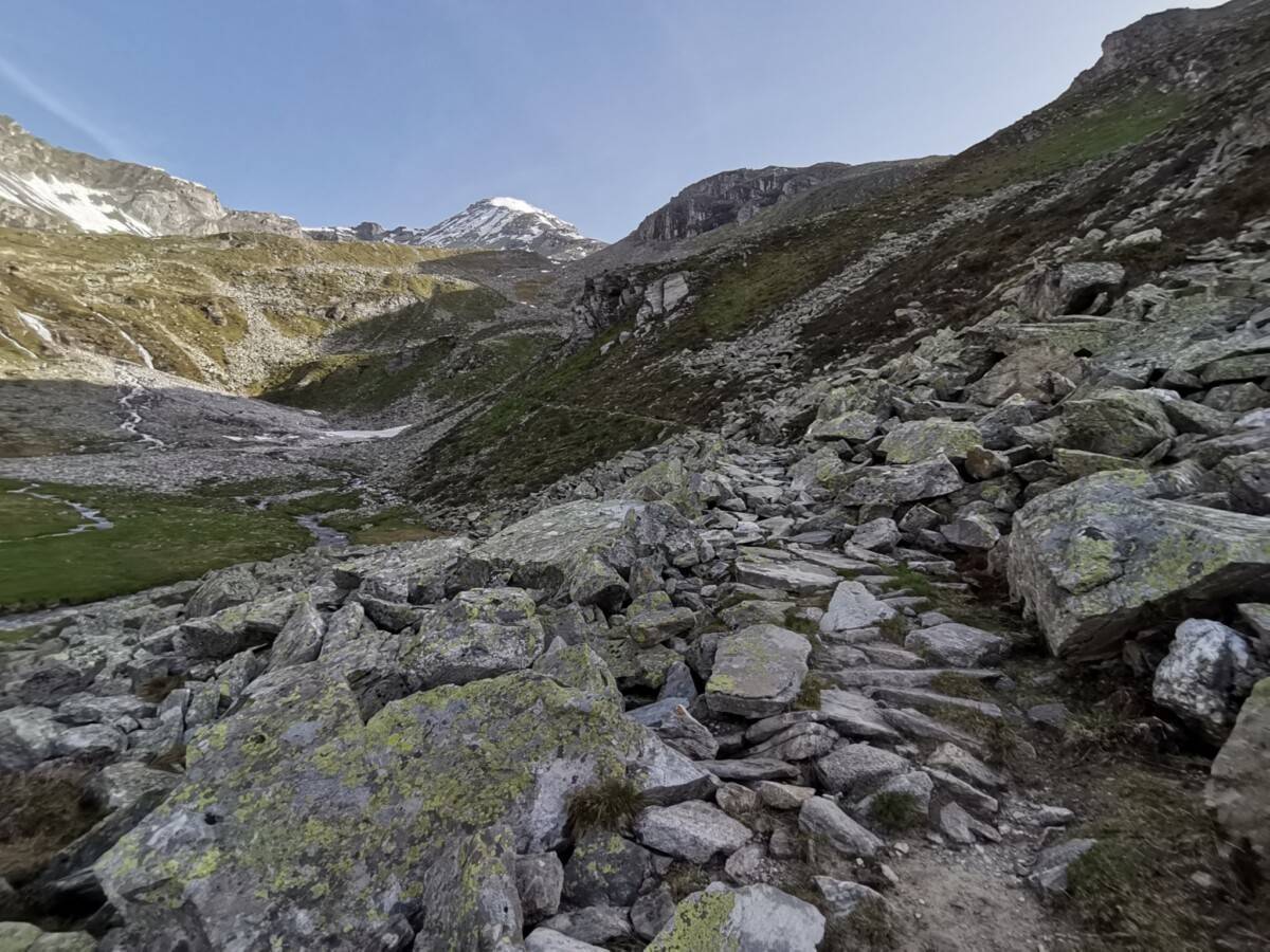 IMG_20230621_075629_original