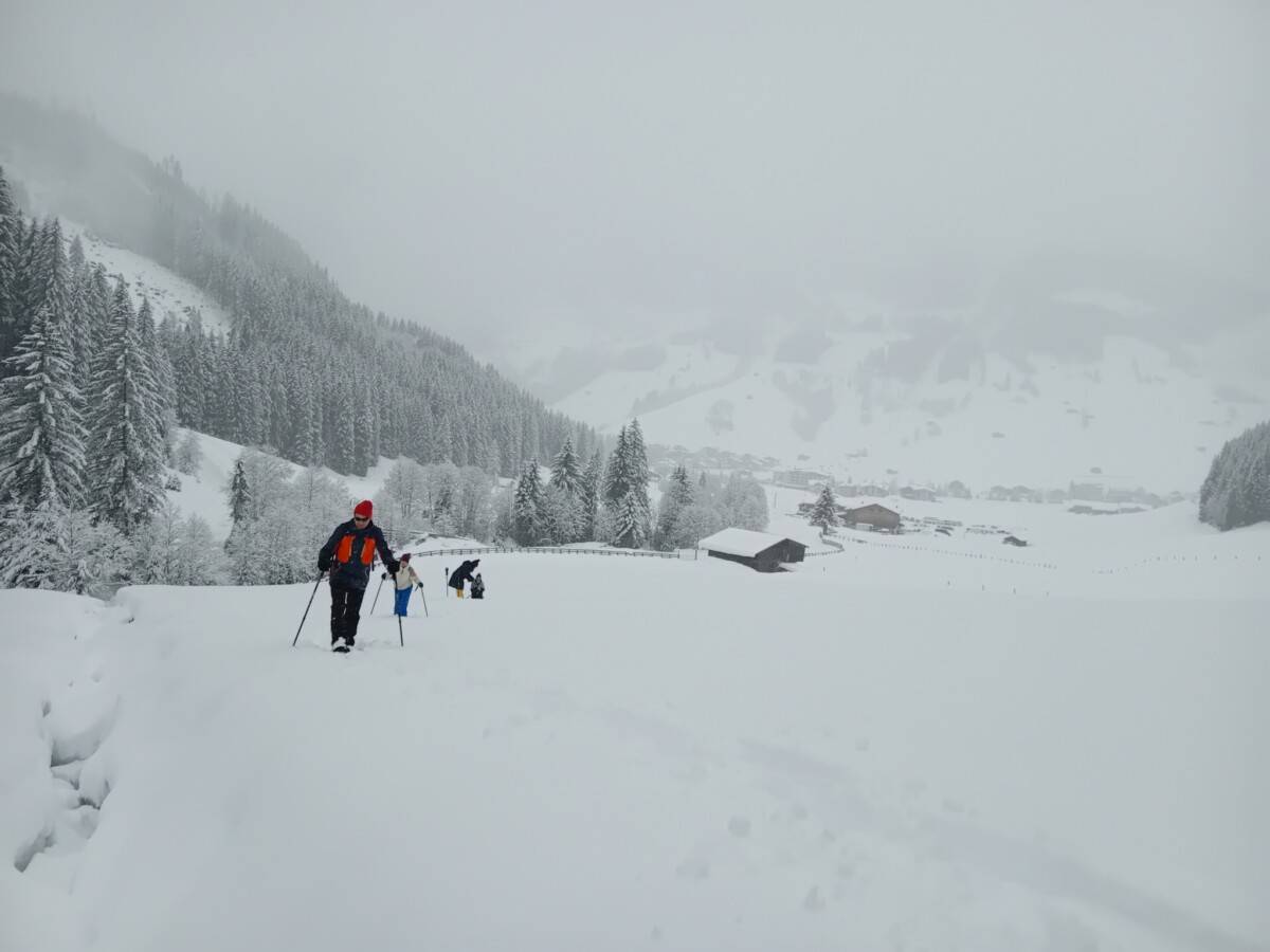 20240106_123052_original