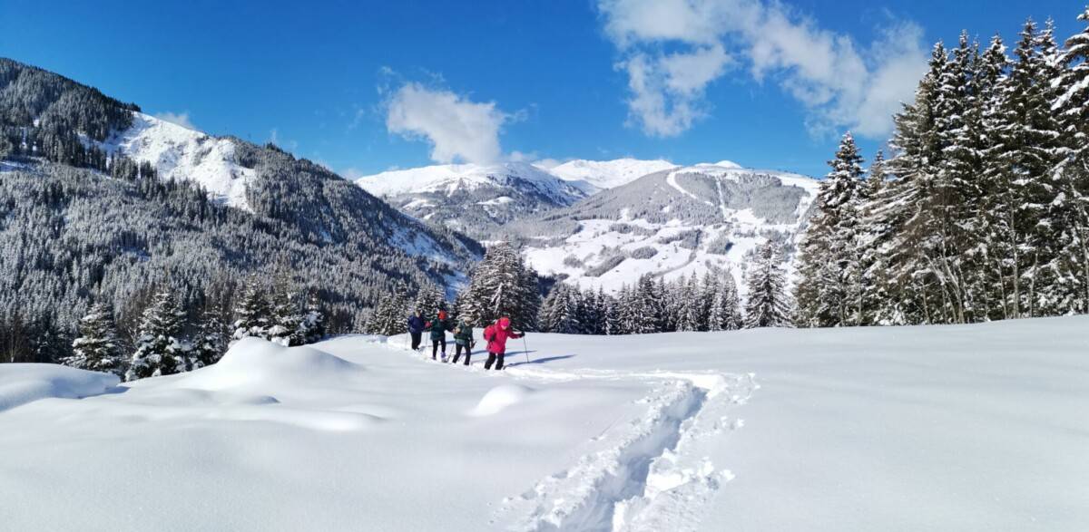 Sneeuwwandeling-29_original