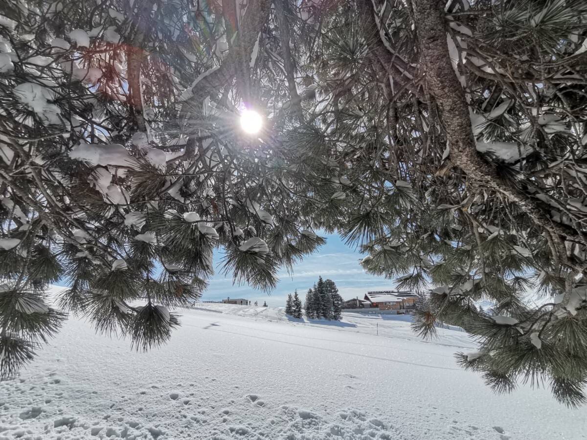 Zillertal-reisen-com-5_original